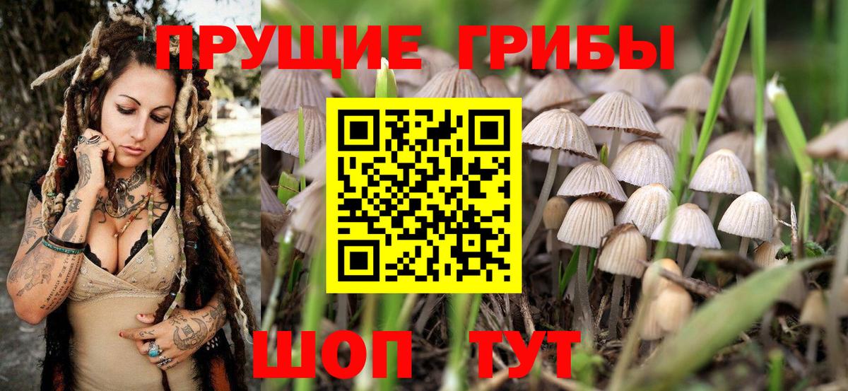 Омск  Галлюциногенные грибы Magic Shrooms  Галлюциногенные грибы MAGIC MUSHROOMS  Вход с VPN 